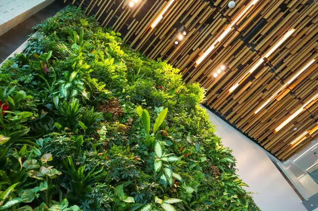 jardin vertical